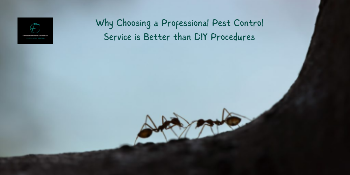 Pest Control Baldock